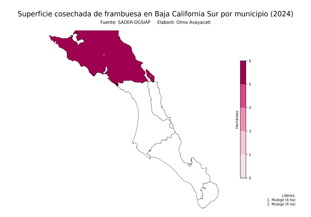 México Producción Agrícola Frambuesa Baja California Sur (superficie cosechada)