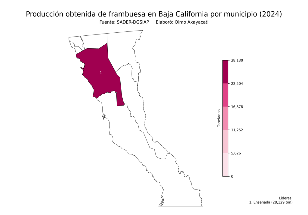 México Producción Agrícola Frambuesa Baja California (producción obtenida)