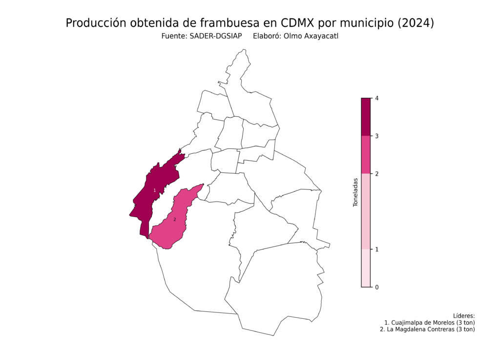 México Producción Agrícola Frambuesa CDMX (producción obtenida)