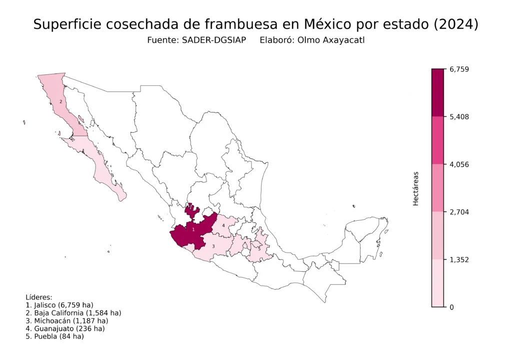 México Producción Agrícola Frambuesa (Estados Superficie)
