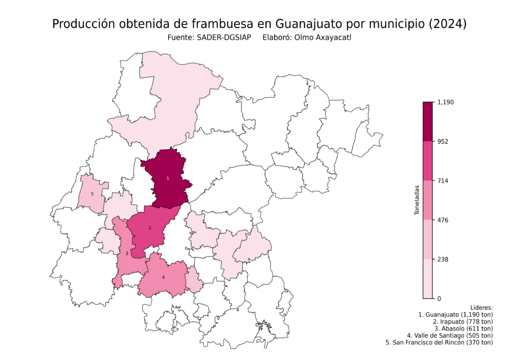 México Producción Agrícola Frambuesa Guanajuato (producción obtenida)