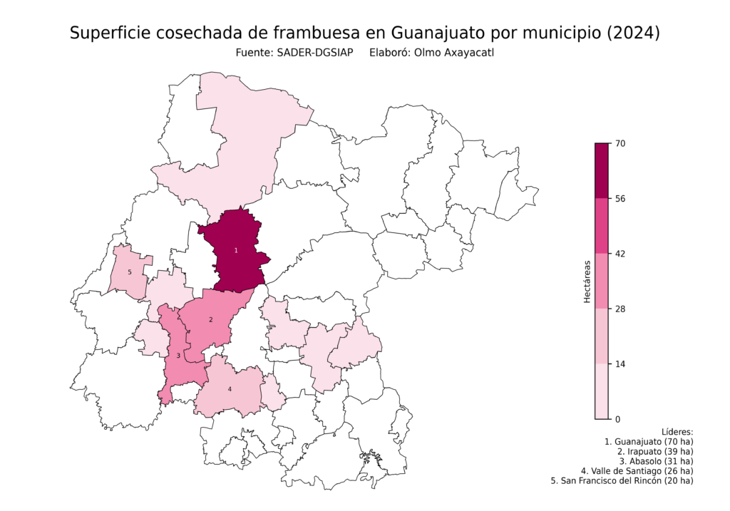 México Producción Agrícola Frambuesa Guanajuato (superficie cosechada)