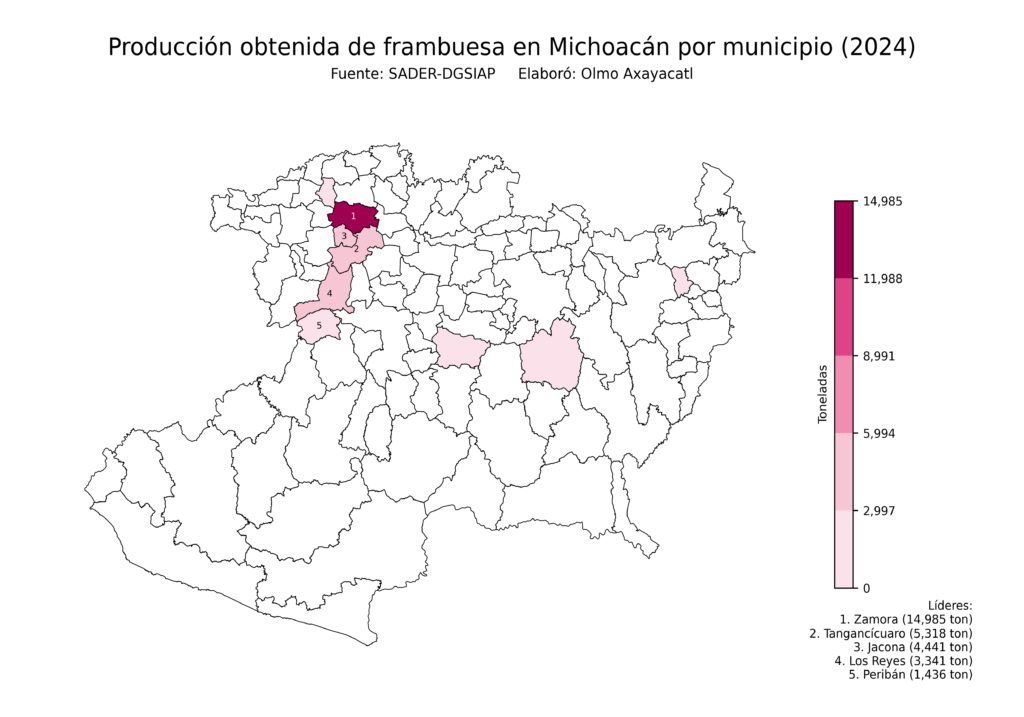 México Producción Agrícola Frambuesa Michoacán (producción obtenida)