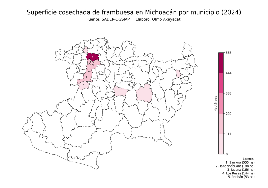 México Producción Agrícola Frambuesa Michoacán (superficie cosechada)