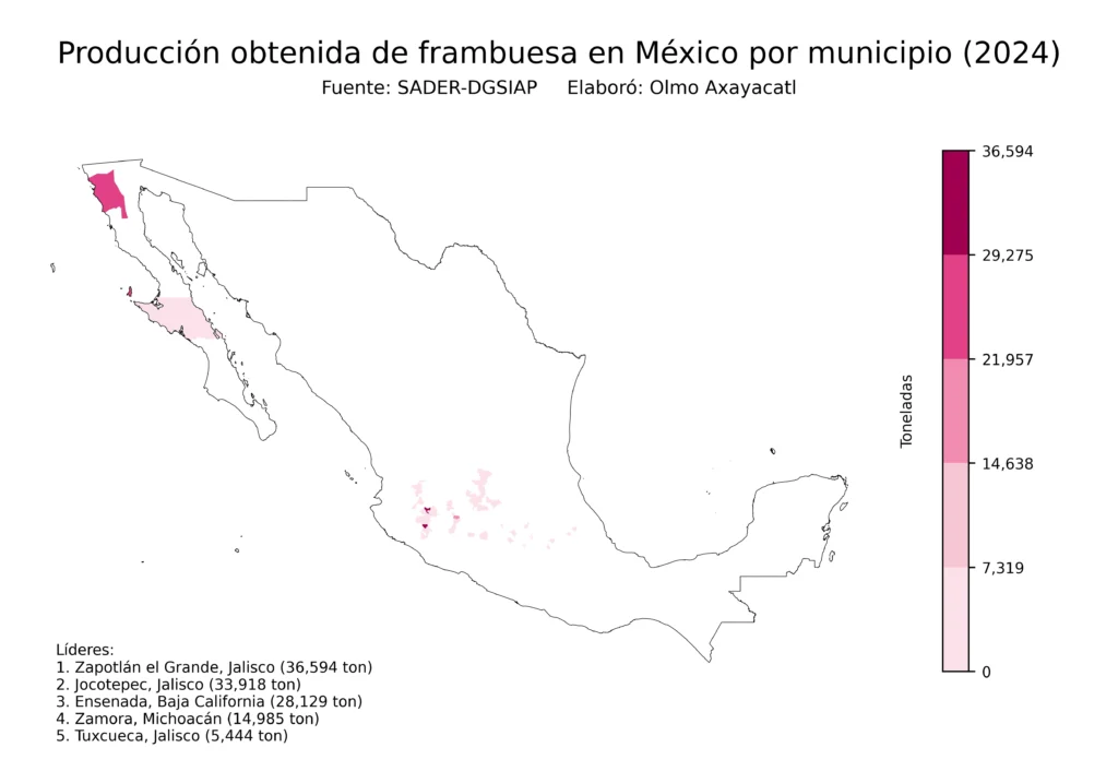 México Producción Agrícola Frambuesa (Municipios Producción)