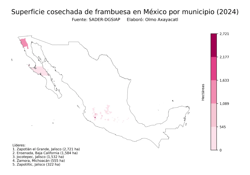 México Producción Agrícola Frambuesa (Municipios Superficie)