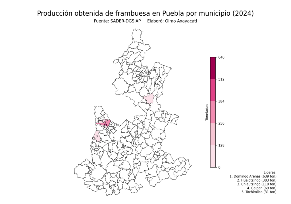 México Producción Agrícola Frambuesa Puebla (producción obtenida)